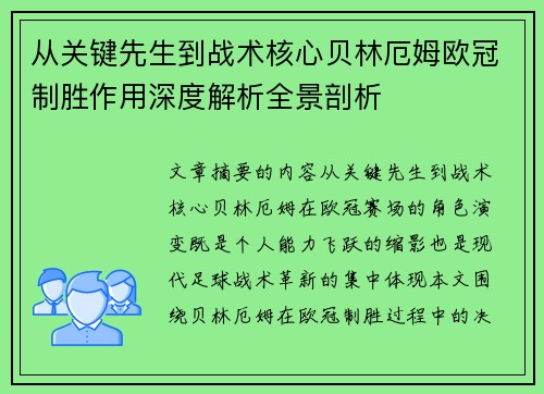 从关键先生到战术核心贝林厄姆欧冠制胜作用深度解析全景剖析